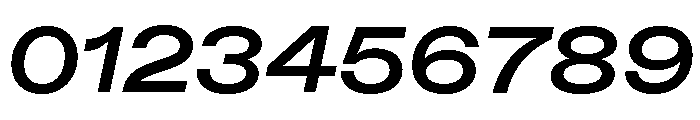 ABCDiatypeExpanded BoldItalic Font OTHER CHARS