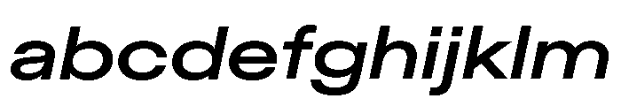 ABCDiatypeExpanded BoldItalic FONT