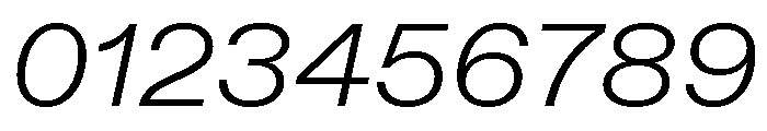 ABCDiatypeExtended LightItalic Font OTHER CHARS