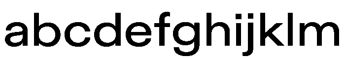ABCDiatypeExtended Medium FONT