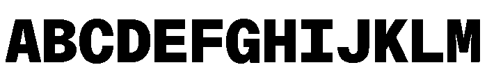 ABCDiatypeMono Black Font UPPERCASE