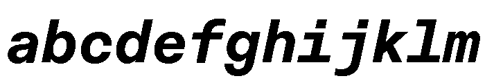 ABCDiatypeMono HeavyItalic FONT