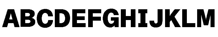ABCDiatypeSemi Mono Black Font UPPERCASE