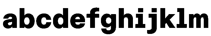 ABCDiatypeSemi Mono Black FONT