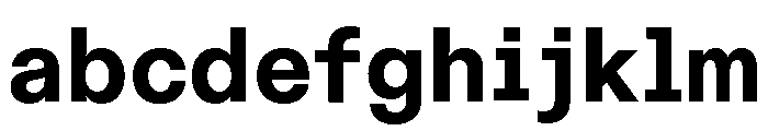 ABCDiatypeSemi Mono Heavy FONT
