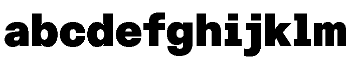ABCDiatypeSemi Mono Ultra FONT