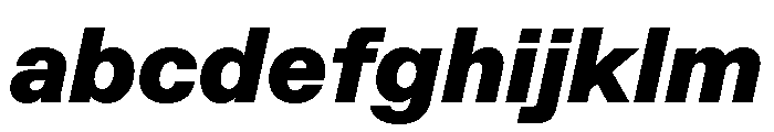 ABCFavorit BlackItalic FONT
