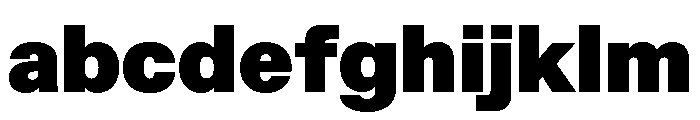 ABCFavorit Ultra FONT