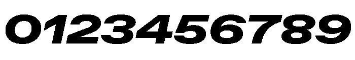ABCFavoritExpanded BlackItalic Font OTHER CHARS