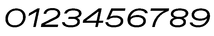 ABCFavoritExpanded BookItalic Font OTHER CHARS