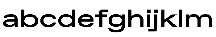 ABCFavoritExpanded Medium FONT