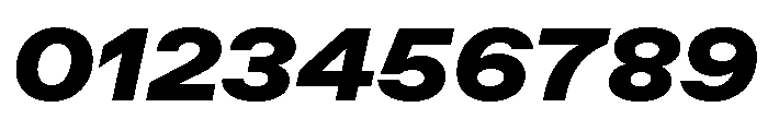 ABCFavoritExtended BlackItalic Font OTHER CHARS