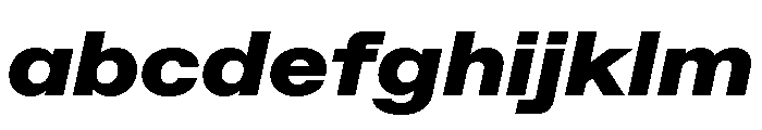 ABCFavoritExtended BlackItalic FONT