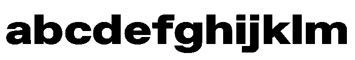 ABCFavoritExtended Black FONT