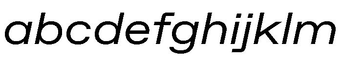 ABCFavoritExtended BookItalic FONT