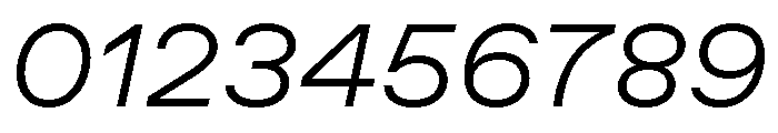 ABCFavoritExtended LightItalic Font OTHER CHARS
