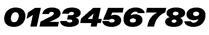 ABCFavoritExtended UltraItalic Font OTHER CHARS