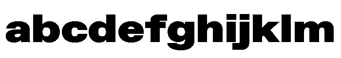 ABCFavoritExtended Ultra FONT