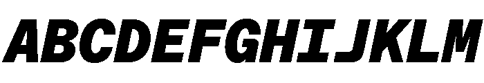ABCFavoritMono BlackItalic Font UPPERCASE