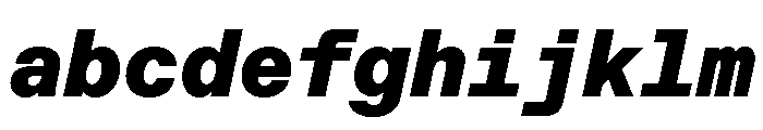 ABCFavoritMono BlackItalic FONT