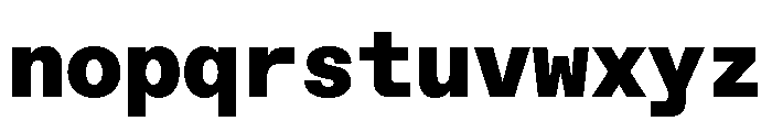 ABCFavoritMono Black Font LOWERCASE