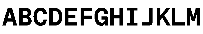 ABCFavoritMono Bold Font UPPERCASE