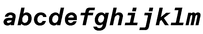 ABCFavoritMono BoldItalic FONT