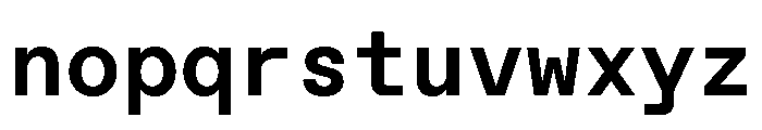 ABCFavoritMono Bold Font LOWERCASE