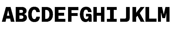 ABCFavoritMono Extrabold Font UPPERCASE