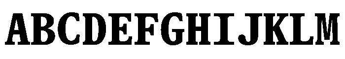 ABCGaisyrMono Bold Font UPPERCASE