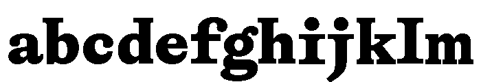 ABCGaisyrSemi Mono Black FONT