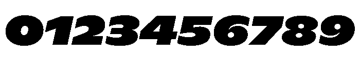 ABCGintoNord BlackItalic Font OTHER CHARS