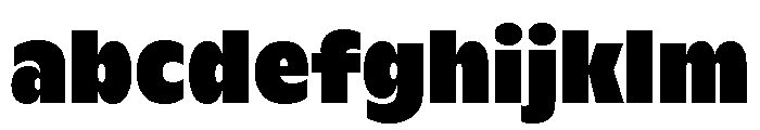 ABCGintoNordCondensed Black FONT