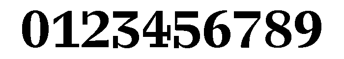 ABCLaicaMono Bold Font OTHER CHARS
