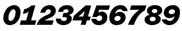 ABCMarfaMono BlackItalic Font OTHER CHARS