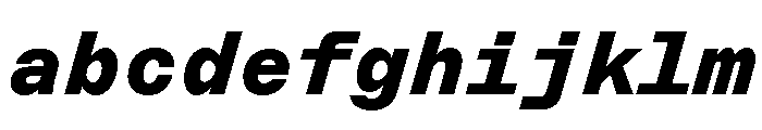 ABCMarfaMono BlackItalic FONT
