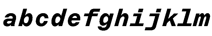 ABCMarfaMono BoldItalic FONT