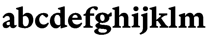 ABCMarist Bold FONT