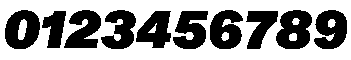 ABCMonumentGrotesk BlackItalic Font OTHER CHARS