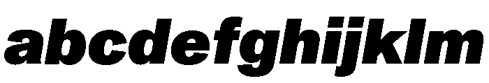 ABCMonumentGrotesk BlackItalic FONT