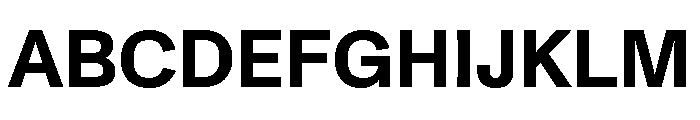 ABCMonumentGrotesk Bold Font UPPERCASE