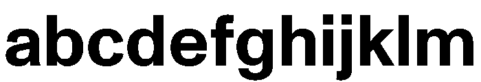 ABCMonumentGrotesk Bold FONT