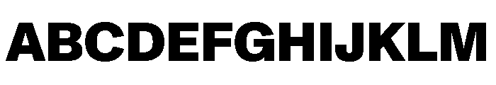 ABCMonumentGrotesk Heavy Font UPPERCASE
