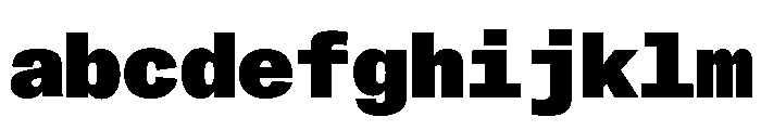 ABCMonumentGroteskMono Black FONT