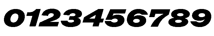ABCROMExtended BlackItalic Font OTHER CHARS