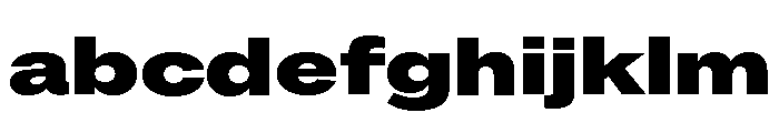 ABCROMExtended Black FONT
