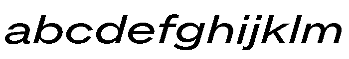 ABCROMExtended BookItalic FONT