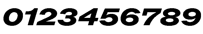ABCROMExtended HeavyItalic Font OTHER CHARS