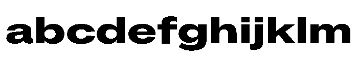 ABCROMExtended Heavy FONT