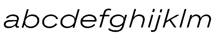 ABCROMExtended LightItalic FONT